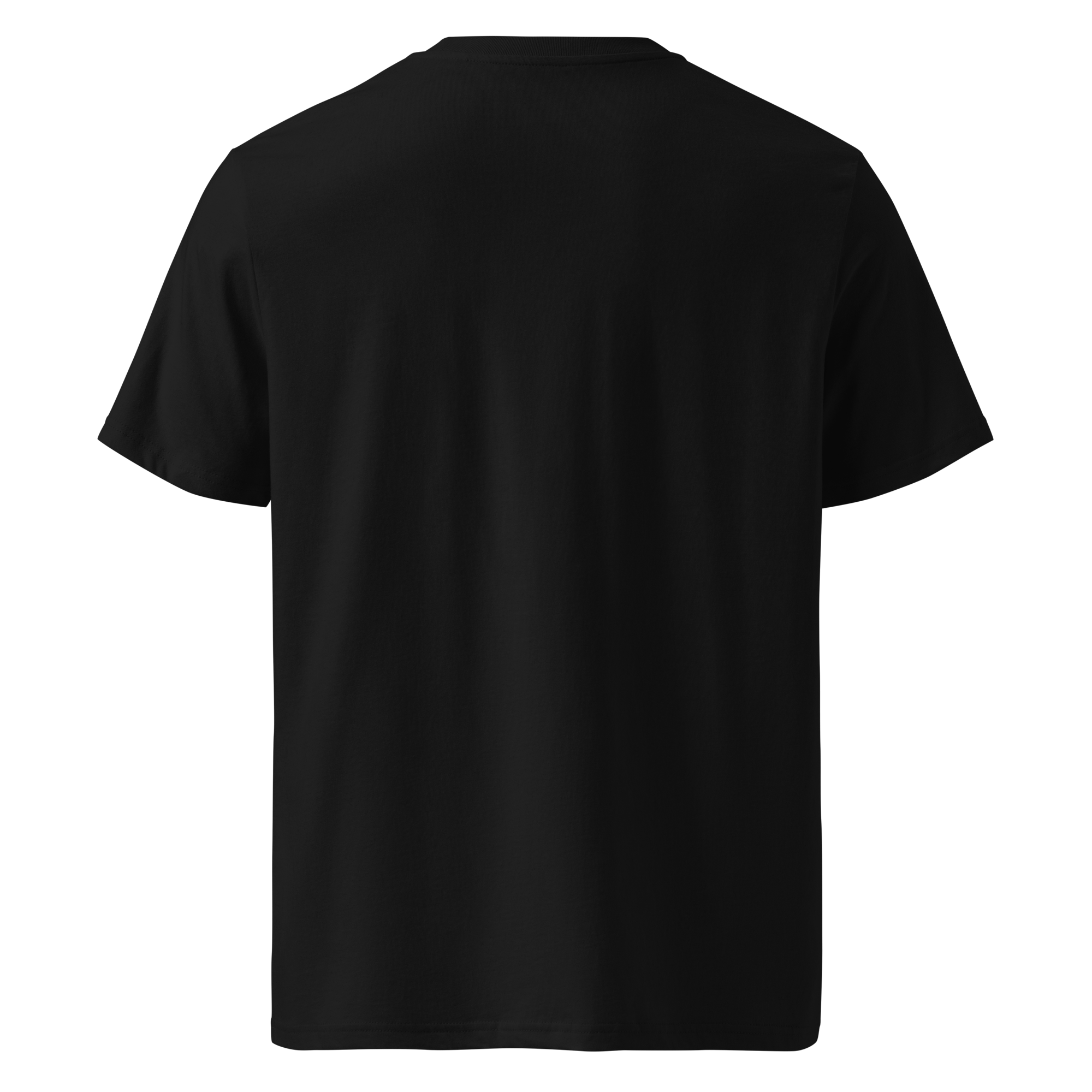 Unisex Organic Cotton T-Shirt | Essentials